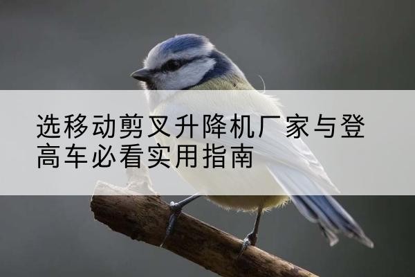 巴塘电动升降机厂家-选移动剪叉升降机厂家与登高车必看实用指南