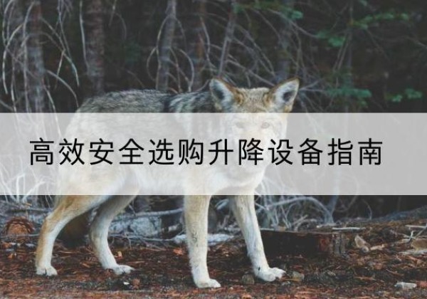 巴塘升降货梯厂家推荐-*安全选购升降设备指南